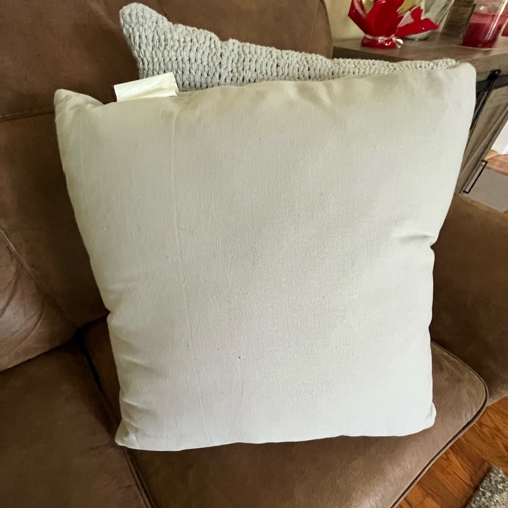 Throw pillows AND covers 20X20 SET OF 2 - Picture 11 of 16